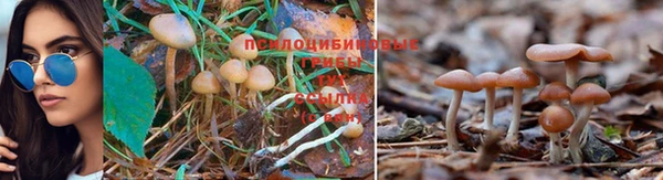ешки Богородицк