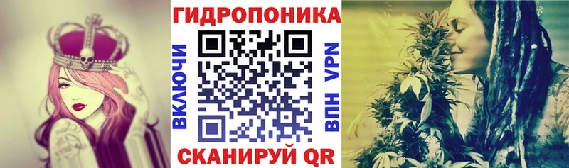 закладки  Сковородино  Бошки марихуана индика 